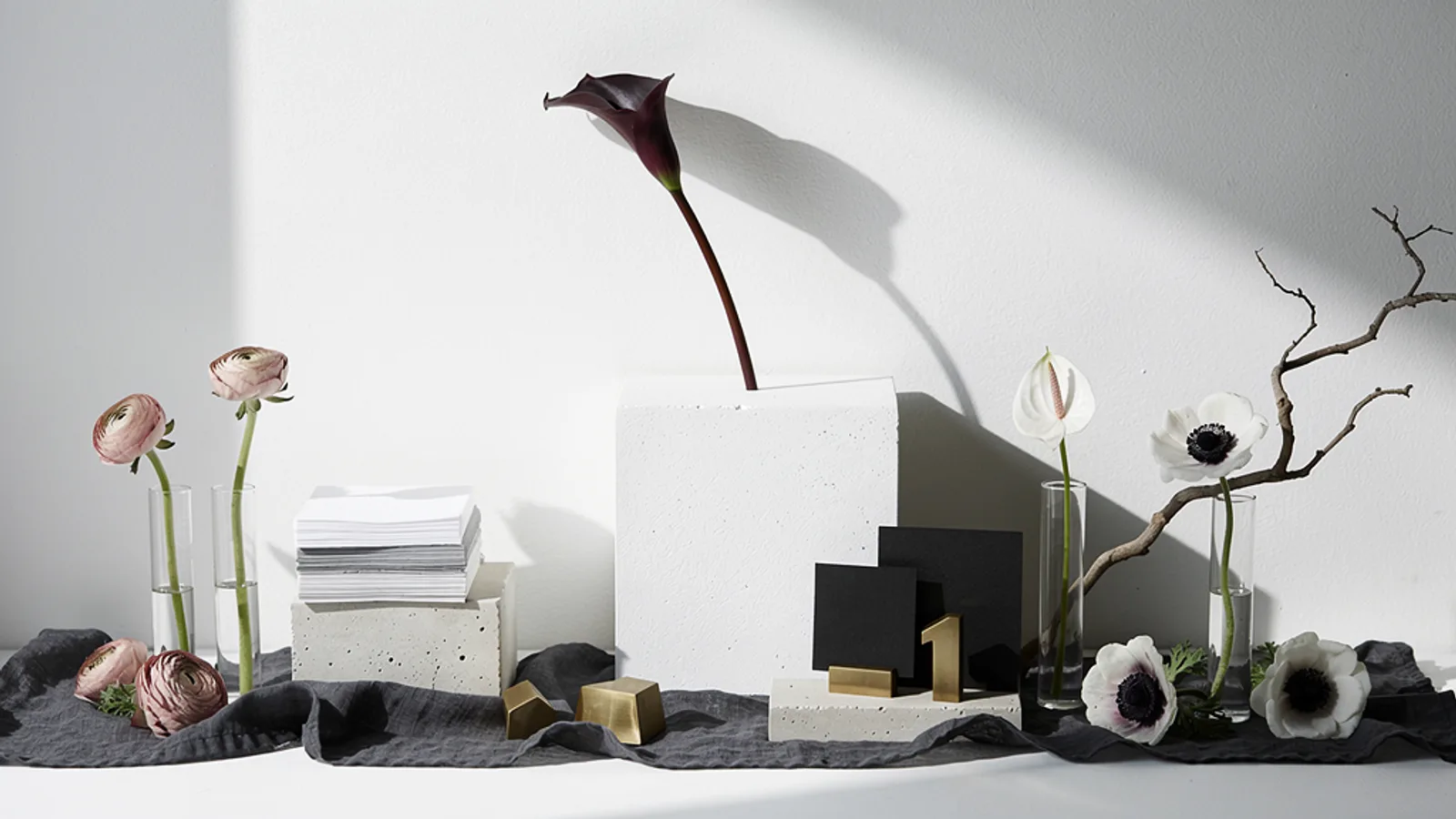 Modern Editorial Mono wedding aesthetic — A stark white plaster pedestal against a white wall holding one dark sculptural stem, hard north-window shadow cast long.